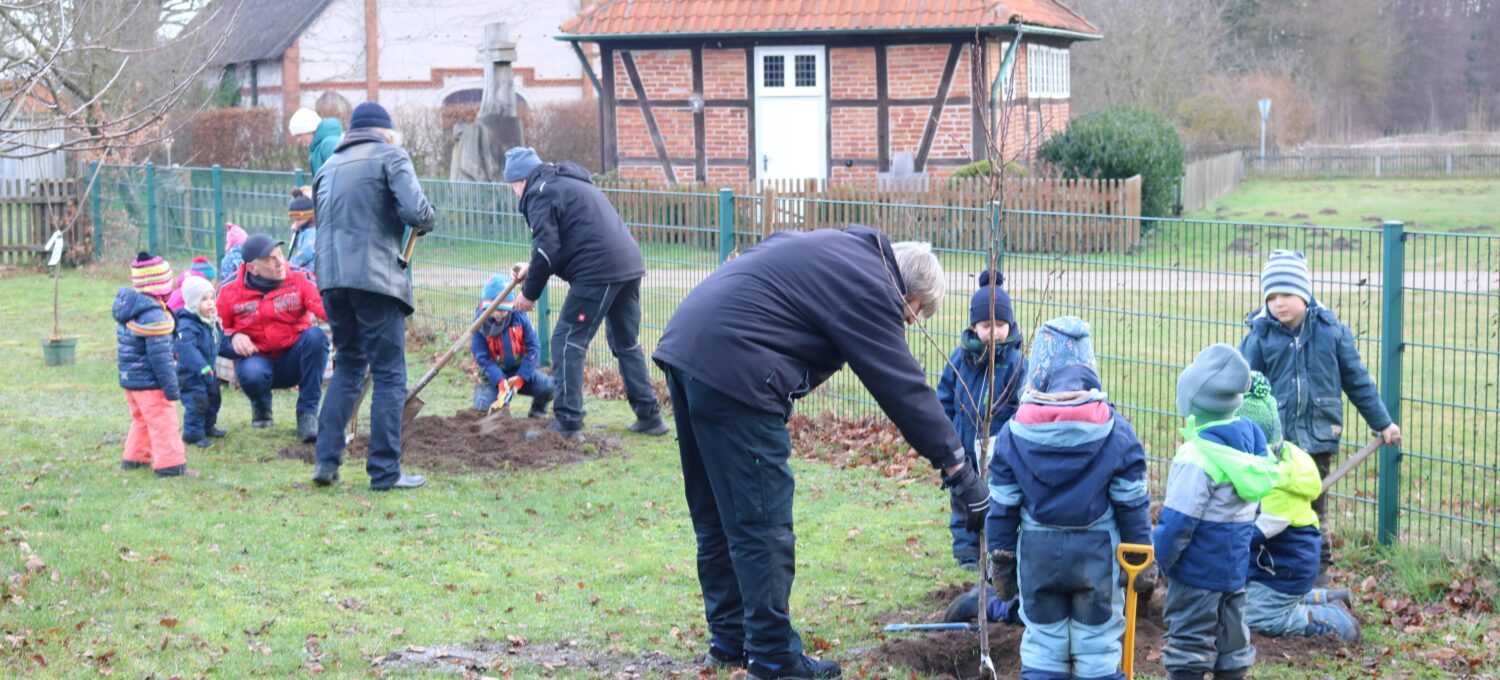 Gemeinsam wurden die neuen Streuobstbäume an der Kita Göhrder Wichtel eingepflanzt.