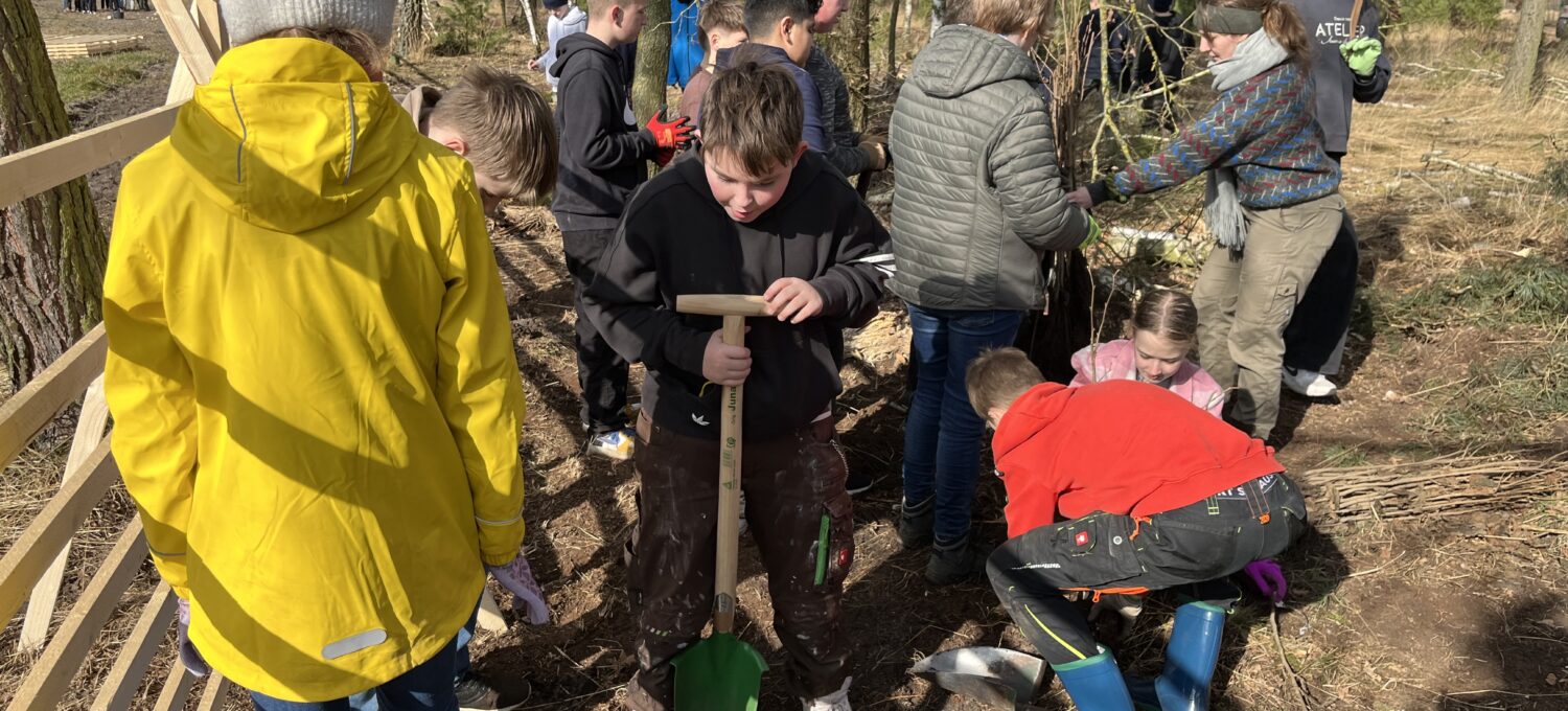 Schülerinnen und Schüler des Jahrgang 6  der Jeetzel-OS Lüchow halfen dem BUND-Jugend beim Pflanzen eines Wildkatzenrefugiums bei Nemitz.