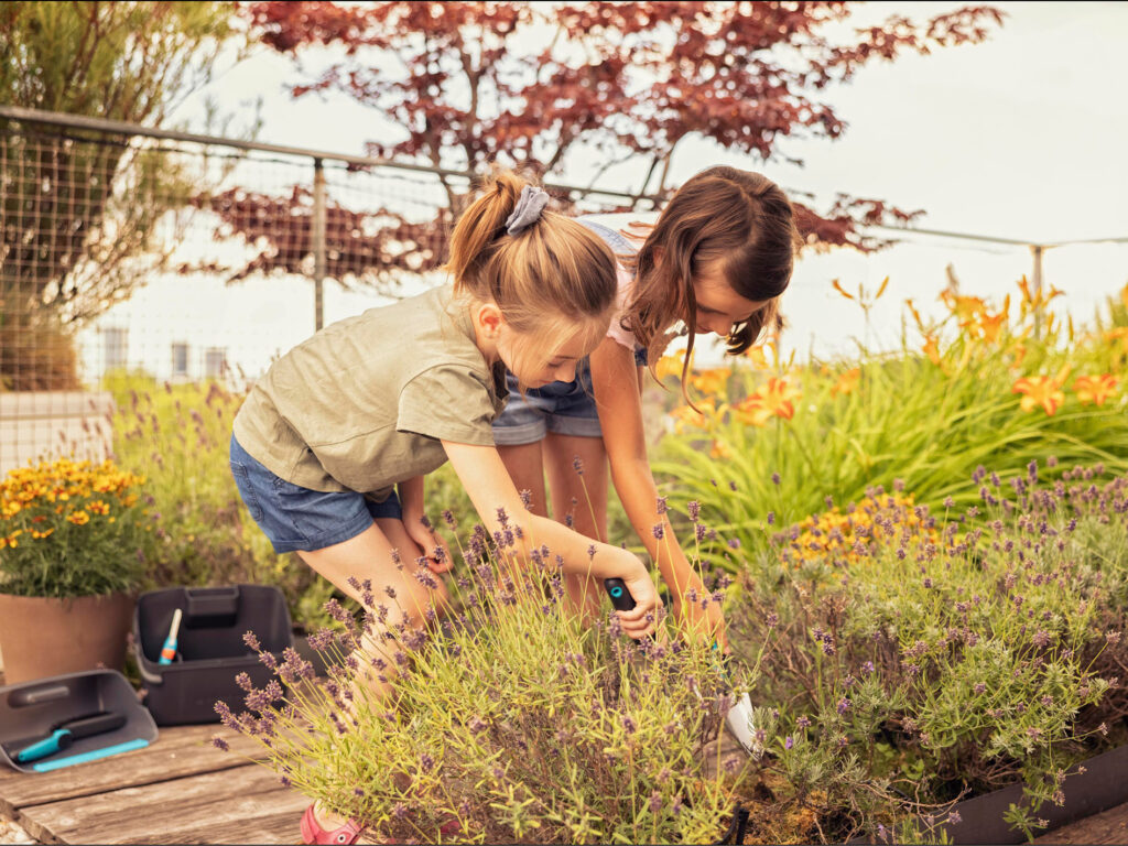Ob große oder kleine Gartenfreunde: Bepflanzte Flächen bieten großen Mehrwert für das Klima, Tiere, Kinder und Erwachsene.