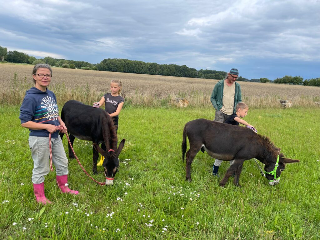 Ingrid Vollmer (von links) bietet zusammen mit Stefan Bednarck (rechts) Schnuppertouren mit Eseln für Kinder an. Liah (links) und Jonah brachte das Putzen sehr viel Spaß.