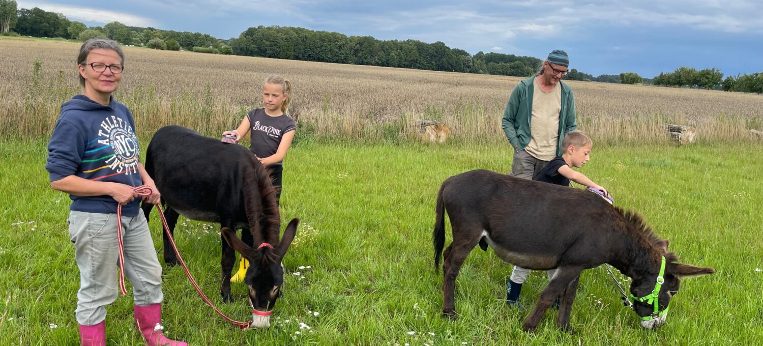 Ingrid Vollmer (von links) bietet zusammen mit Stefan Bednarck (rechts) Schnuppertouren mit Eseln für Kinder an. Liah (links) und Jonah brachte das Putzen sehr viel Spaß.