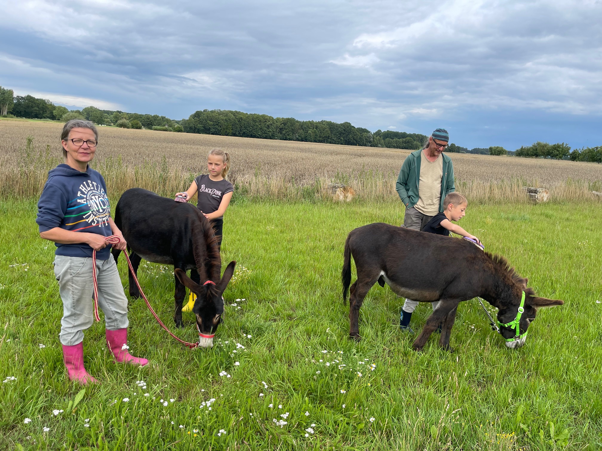 Ingrid Vollmer (von links) bietet zusammen mit Stefan Bednarck (rechts) Schnuppertouren mit Eseln für Kinder an. Liah (links) und Jonah brachte das Putzen sehr viel Spaß.