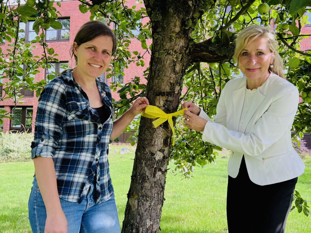 Selina Schmid, Landwirtschaftskoordinatorin und Landrätin Dagmar Schulz markieren einen Apfelbaum mit gelber Schleife.