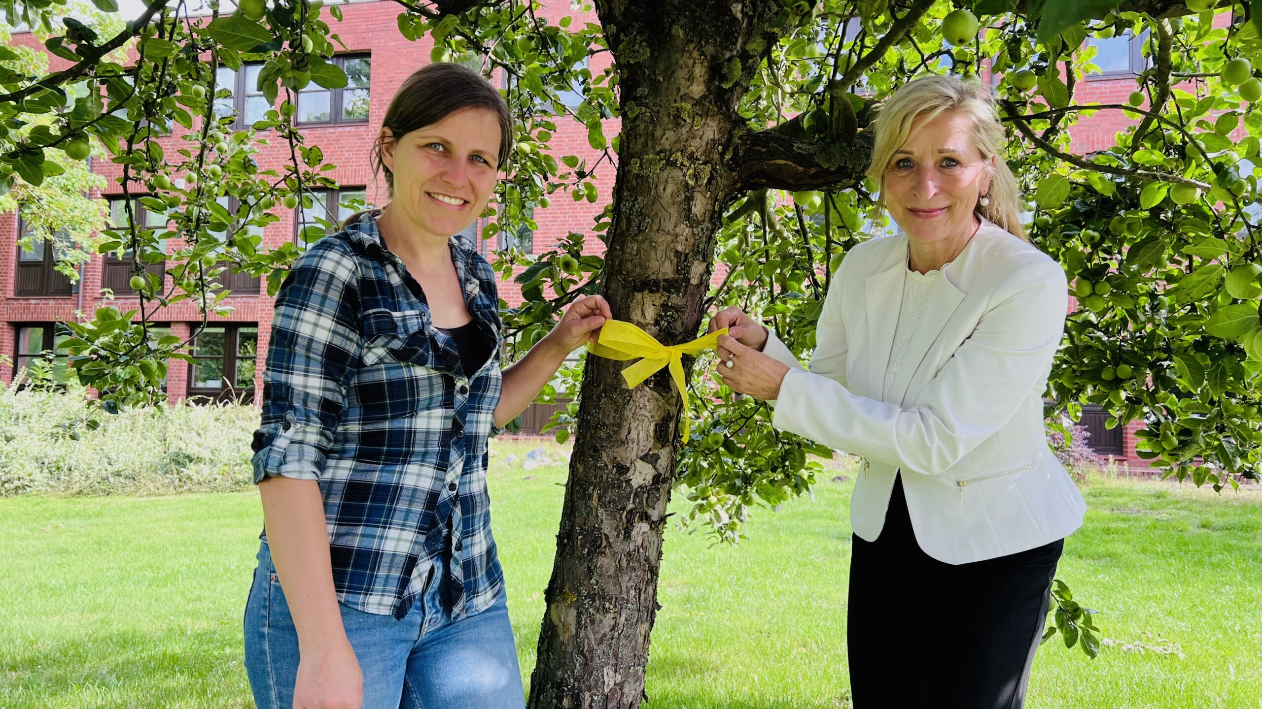 Selina Schmid, Landwirtschaftskoordinatorin und Landrätin Dagmar Schulz markieren einen Apfelbaum mit gelber Schleife.