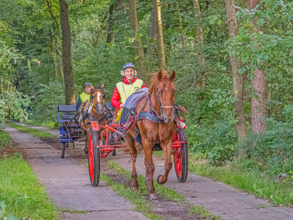 Distanzfahren Schneider Pferdesport