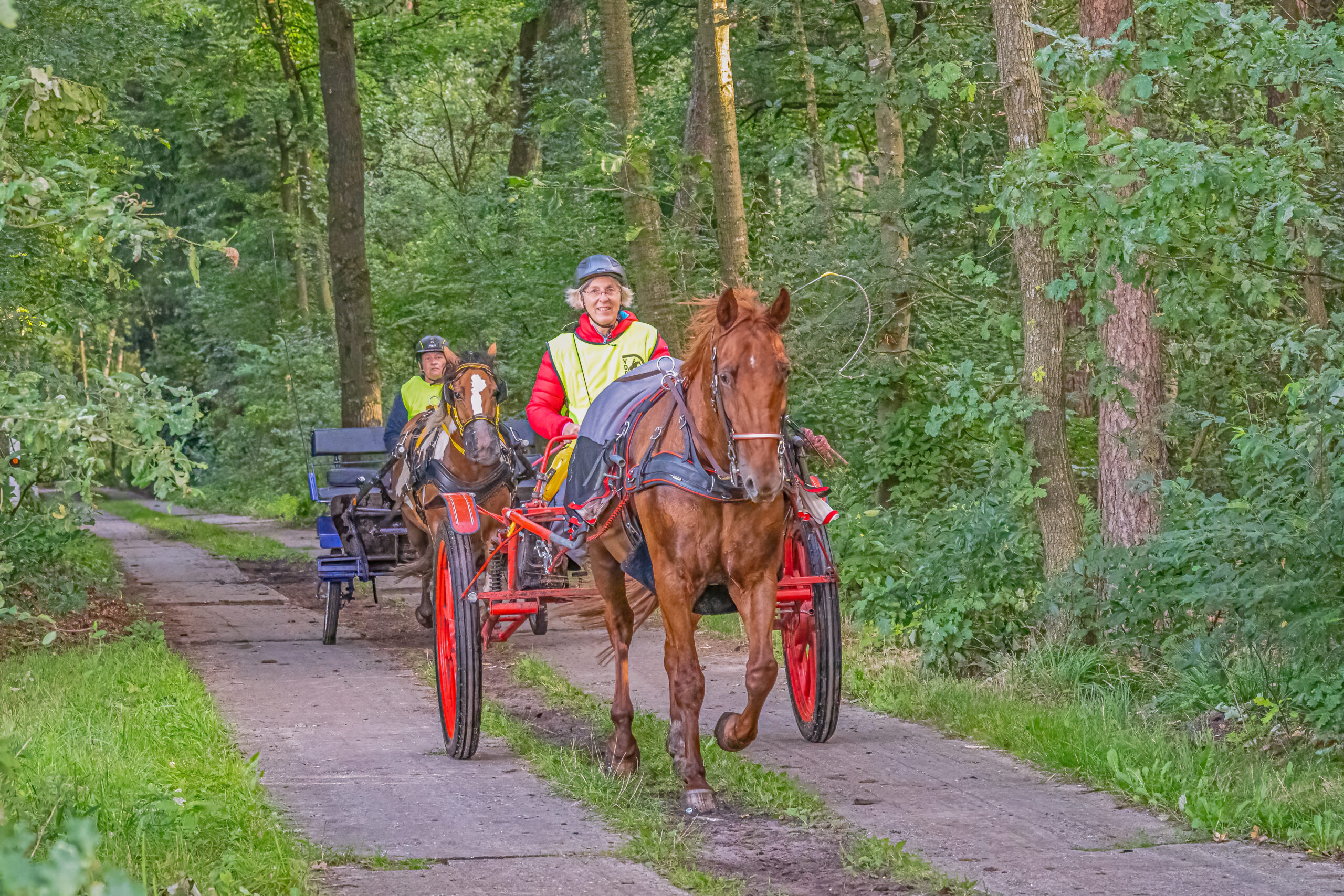 Distanzfahren Schneider Pferdesport