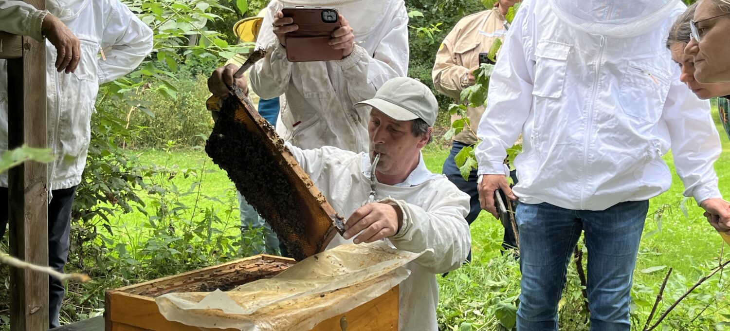 Kreisimker Marco Otte zeigte Interessierten in Lübeln die Dunklen Bienen, die er efolgreich im Wendland angesiedelt hat.