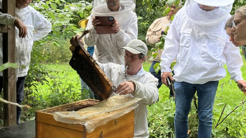 Kreisimker Marco Otte zeigte Interessierten in Lübeln die Dunklen Bienen, die er efolgreich im Wendland angesiedelt hat.