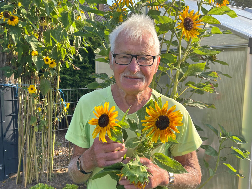 Fritz Wulf liebt seine familie und den Garten. In diesem Jahr ist er besonders stolz auf seine vier Meter hohen Sonnenblumen.