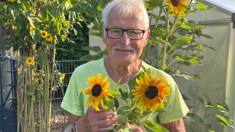 Fritz Wulf liebt seine familie und den Garten. In diesem Jahr ist er besonders stolz auf seine vier Meter hohen Sonnenblumen.