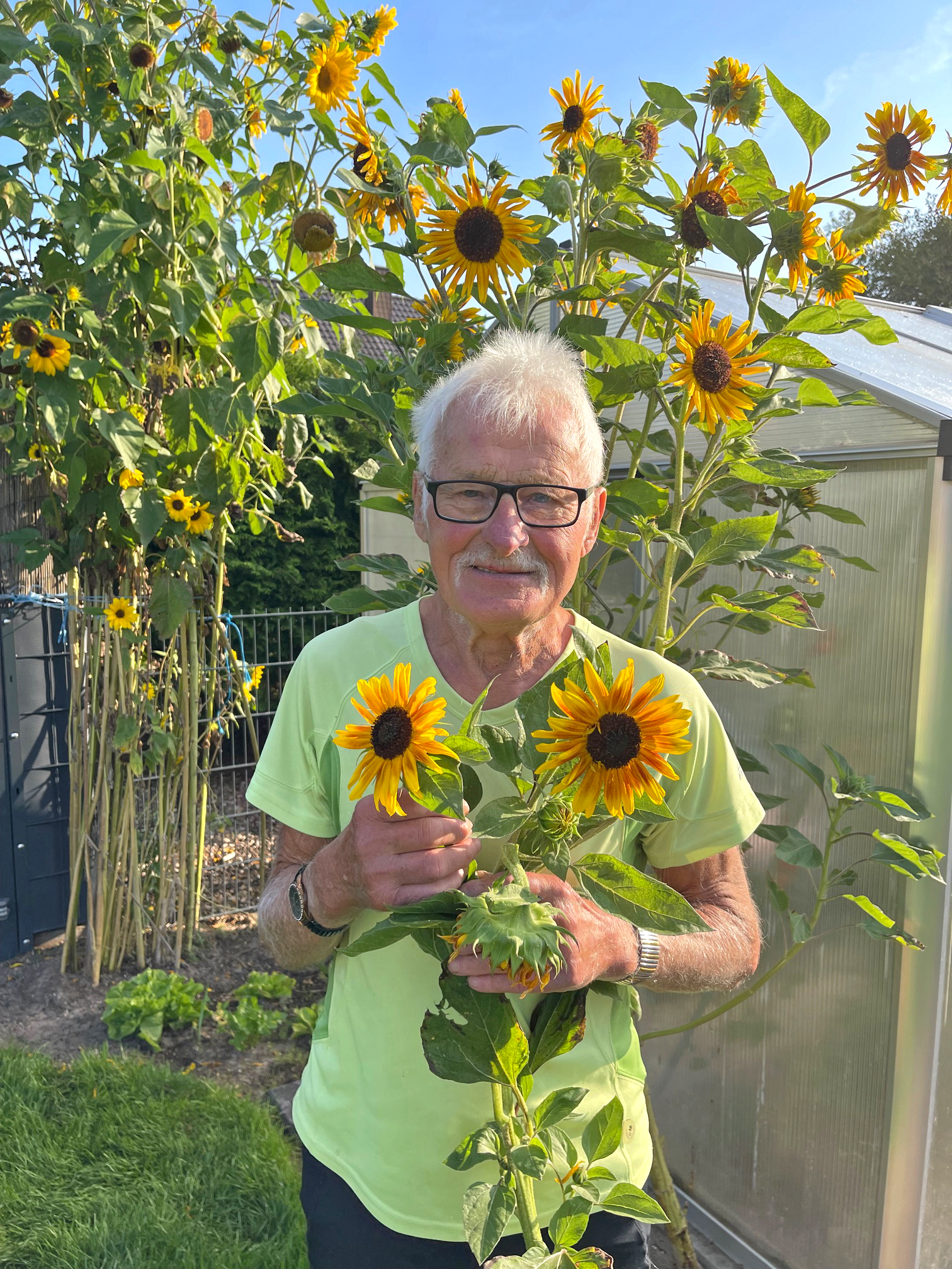 Fritz Wulf liebt seine familie und den Garten. In diesem Jahr ist er besonders stolz auf seine vier Meter hohen Sonnenblumen.