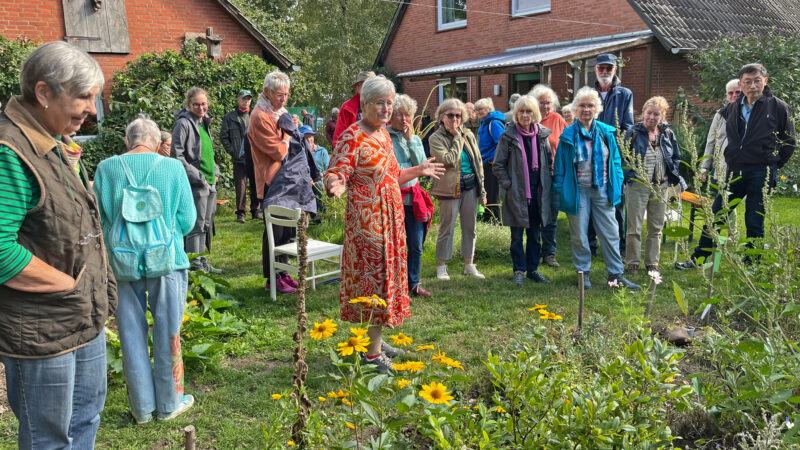 Über großes Interesse an ihrem botanischen Garten konnten sich Heinke Kelm (rotes Kleid) am Sonnabend in Grippel freuen.  Unterstützt wurde sie vom BUND und dem Bündnis Wilde Wiese Wendland.